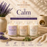 Calm Collection by Nurse Calm Aromatherapy featuring Lavender Drift, Sensaytional, and Butter Shot handcrafted soy candles in a calming spa-inspired display.