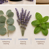 Natural botanical ingredients including eucalyptus, lavender, and peppermint.