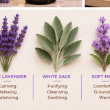 Natural botanical ingredients including pure lavender, white sage, and soft musk.