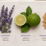 Natural botanical ingredients featured in Lavender Elixir Room & Linen Spray including lavender, bergamot, and frankincense.